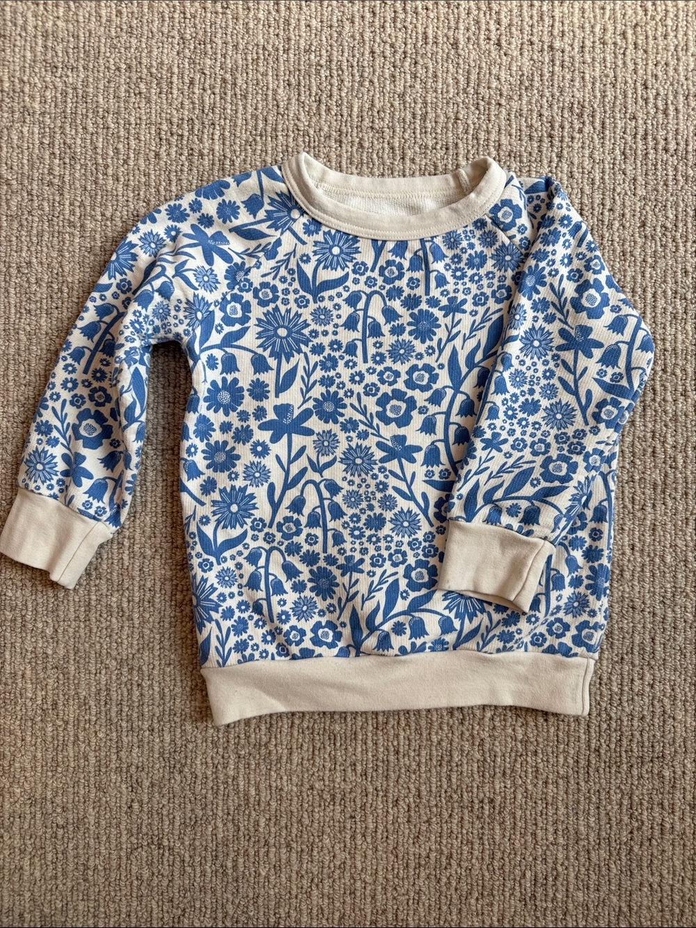 Winter Water Factory Sweatshirt Size 3T